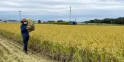 Le Japon teste une prime controversée pour dénoncer les travailleurs clandestins