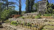 Le jardin médiéval de l'abbaye : un voyage botanique dans le temps
