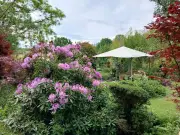 Le Jardin à quatre mains d'Élisabeth Castell : un paradis terrestre