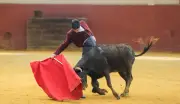 Le matador prodige Marco Pérez s'entraîne à El Freixo pour la Feria de Dax 2026