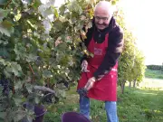 Le Printemps des vins de Blaye : l'histoire d'une idée née d'une inspiration rhodanienne