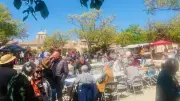 Le Printemps à Neffiès célèbre l'olivier lors de sa 8e édition