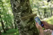 Le Secours populaire organise un jeu de piste géant pour financer les vacances
