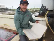 Le syndicat conchylicole du port de la Pelle relancé avec un nouveau président