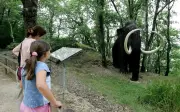Le Thot en Dordogne : un musée et parc animalier dédié à la préhistoire