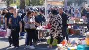 Le vide-greniers de Tivoli, un rituel pascal incontournable à Port Camargue