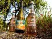 Le vin sans alcool enrichi aux molécules relaxantes débarque dans le Bordelais