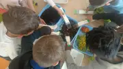 Les écoliers d'Hérépian initiés aux secrets du compostage lors d'un goûter-compost