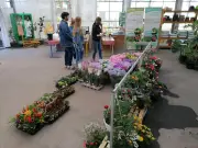 Les Foliflores : un événement horticole étudiant à Saintes