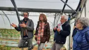 Les Jardins d'Hérault : un modèle de reprise agricole soutenu par Terre de liens