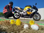 Les motards en colère peignent les nids-de-poule pour alerter sur l'état des routes