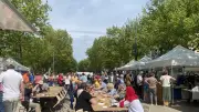 Les oursinades de Béziers : une fête gourmande au cœur du terroir héraultais