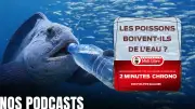 Les poissons boivent-ils de l'eau ? La réponse scientifique étonnante