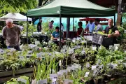 Les Printanières : marché aux plantes rares à Bergerac les 2 et 3 mai