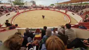 Les Taureaux-Bodéga lancent la saison estivale à Pérols