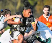 Les Étoiles du rugby amateur pictocharentais : le public vote pour ses favoris