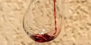Les vins rouges du Languedoc : une sélection d'excellence révélée par Le Monde