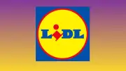 Lidl : Trois offres Silvercrest sous les 20 euros face à une rupture de stock imminente
