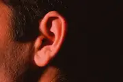 L'obsession intime des oreilles : des orgasmes aussi puissants que prostatiques