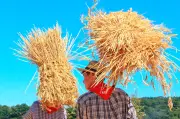 Loi d'urgence agricole : un texte controversé face aux défis climatiques et aux tensions politiques
