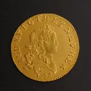 Louis d'or du trésor du Chameau vendu aux enchères à La Rochelle