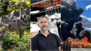 Loups, salon habitat, verrerie : l'actu en région