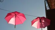 Lozère : mini-séances photos, salon artisanat et Vélis pour Octobre rose