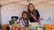 Marché des enfants à Marseillan : une leçon de consommation responsable