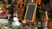 Marseillan : vide-grenier caritatif pour les chats errants organisé par Les Presque belles
