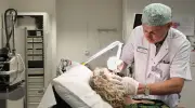 Médecine esthétique : une solution croissante pour lutter contre le vieillissement cutané