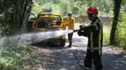 Mégots et barbecues : 135 € d'amende en forêt cet été