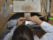 Monflanquin célèbre les métiers d'art lors des Journées européennes