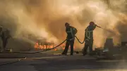 Montpellier ferme zoo et réserves en vigilance rouge incendie