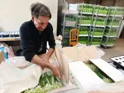 Muguet de Gironde : les producteurs s'adaptent face au printemps précoce