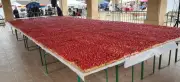 Nabirat célèbre sa 27e Foire de la fraise avec une tarte géante et des animations