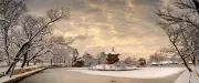 Neige à Séoul et mémoire de guerre : un auteur algérien partage son roman Houris