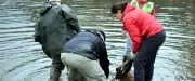 Nettoyage du Lot, film sur la Lozère et challenge équestre à Mende