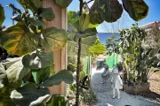 Nice : un parcours immersif « Réalité inversée » pour redécouvrir la nature en ville