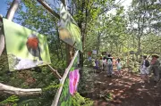 Nouvelle balade au centre de biodiversité Jean-Rostand