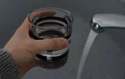 Nouvelles règles pour les boues d'épuration face aux PFAS