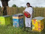 Nérigean déploie une stratégie innovante contre le frelon asiatique avec 117 pièges