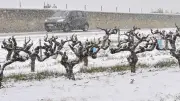 Occitanie : neige et verglas abondants, prudence recommandée