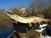 Ouverture du carnassier : les conseils de trois experts en Sud-Gironde