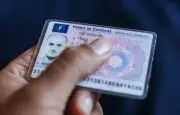 Permis de conduire numérique : la procédure simplifiée pour l'ajouter à France Identité