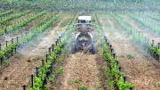 Pesticides dans la vigne : réactions tranchées après une enquête choc