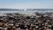Peut-on ramasser des coquillages sur les plages du Grau-du-Roi ?