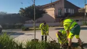 Pinet : la place Pierre-Thieule se végétalise avec de nouveaux arbres pour lutter contre la chaleur
