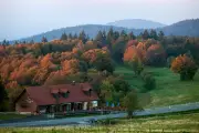 Plus de 1 000 arbres abattus au Ballon d'Alsace pour le Tour de France 2026