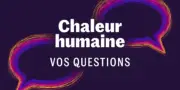 Pénurie d'œufs en supermarché : les causes d'une crise alimentaire