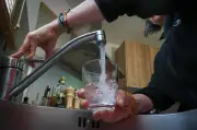 Pollution aux PFAS dans les Ardennes : les élus exigent des responsabilités un an après